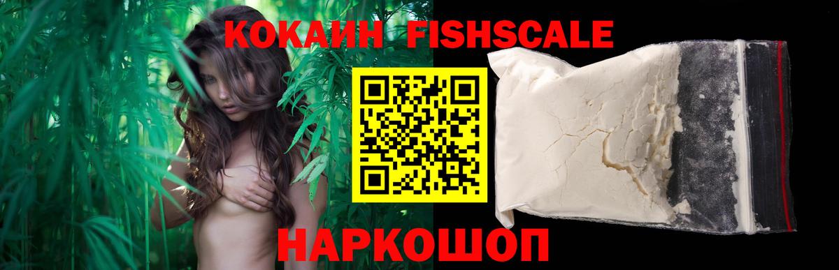 где купить   COCAIN FishScale  Вход с VPN  Кирово-Чепецк 
