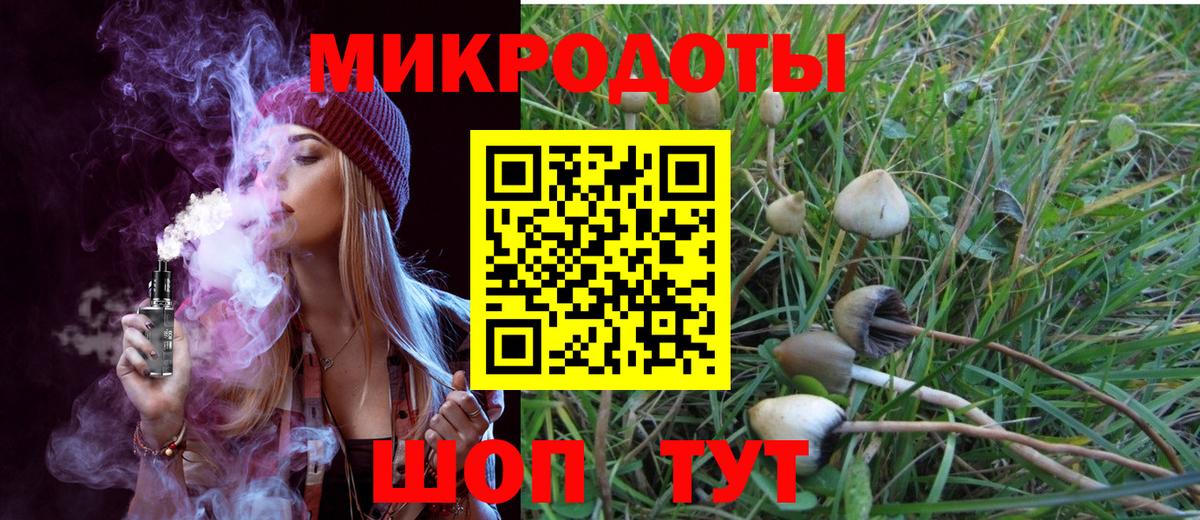Галлюциногенные грибы мухоморы  Псилоцибиновые грибы Psilocybine cubensis  Вход с VPN  Кирово-Чепецк 