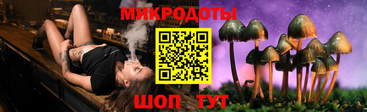 Галлюциногенные грибы Psilocybe Кирово-Чепецк